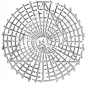 Alasehir - Sharing the Sacred - CD