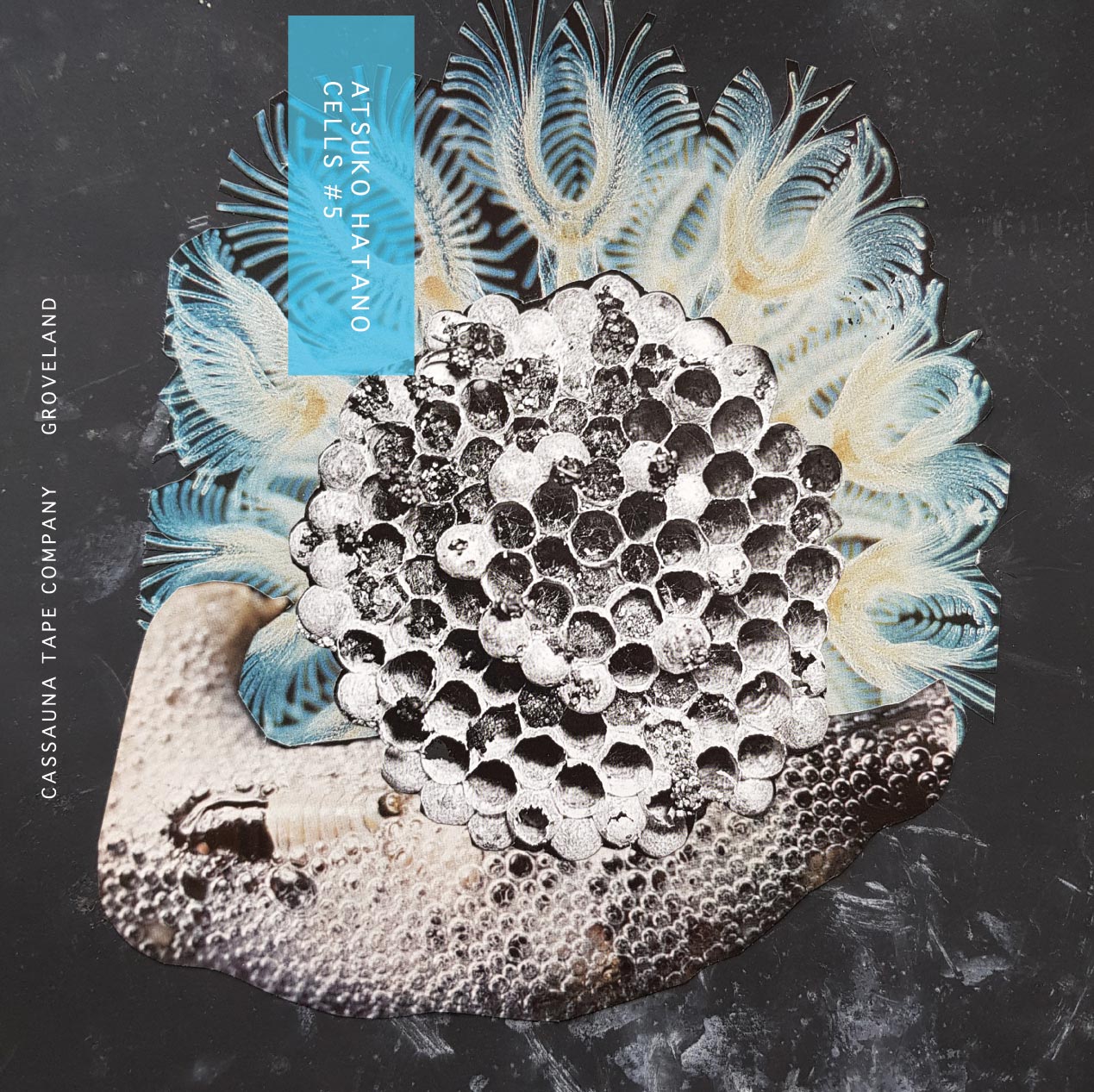 Atsuko Hatano - Cells #5 - Cassette