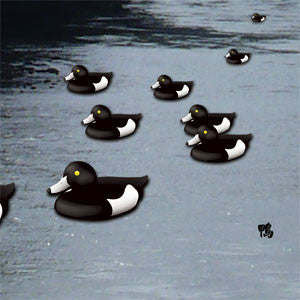 Merzbow - 13 Japanese Birds Vol 6: Kamo - CD