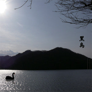 Merzbow - 13 Japanese Birds Vol. 8: Kokuchov - CD