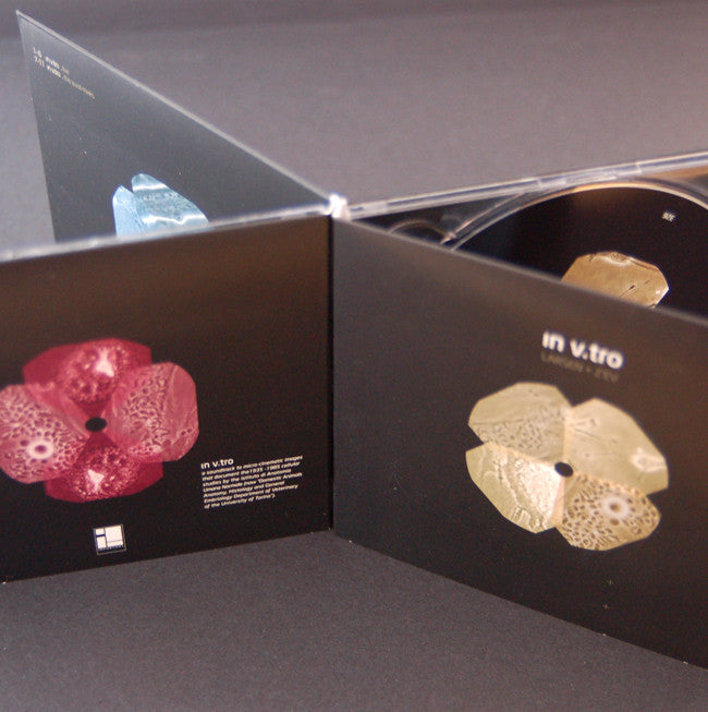 Larsen & Z'ev - In V.TRO - CD