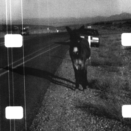 Lee Ranaldo - Ambient Loop For Vancouver