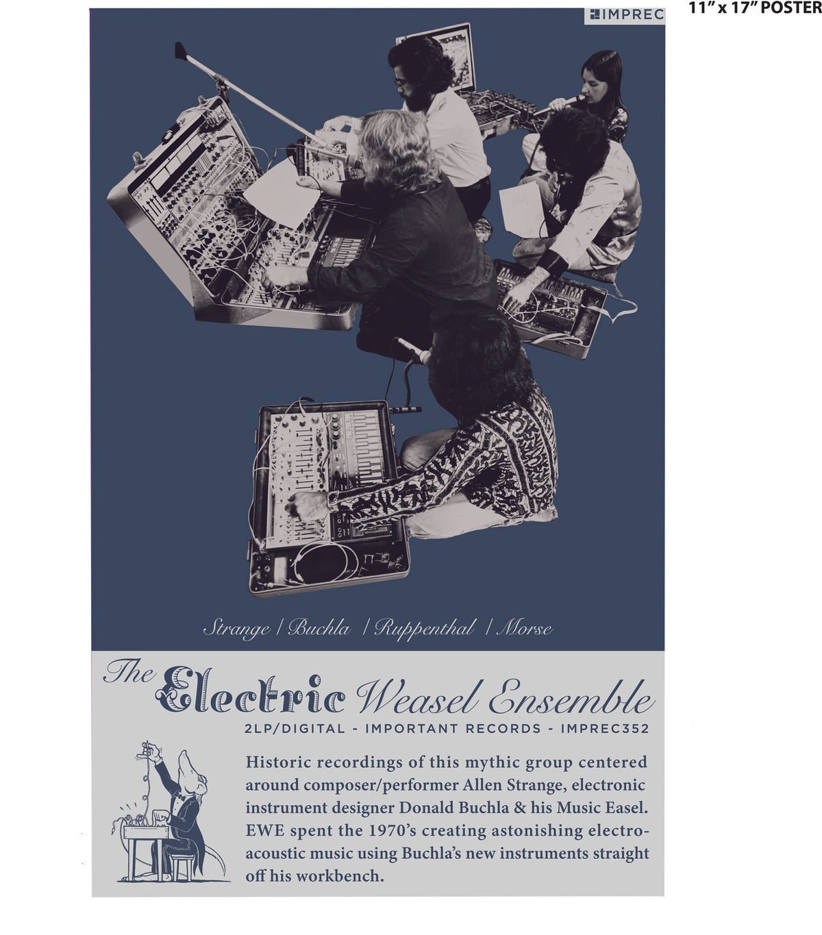 Electric Weasel Ensemble - Promo Poster
