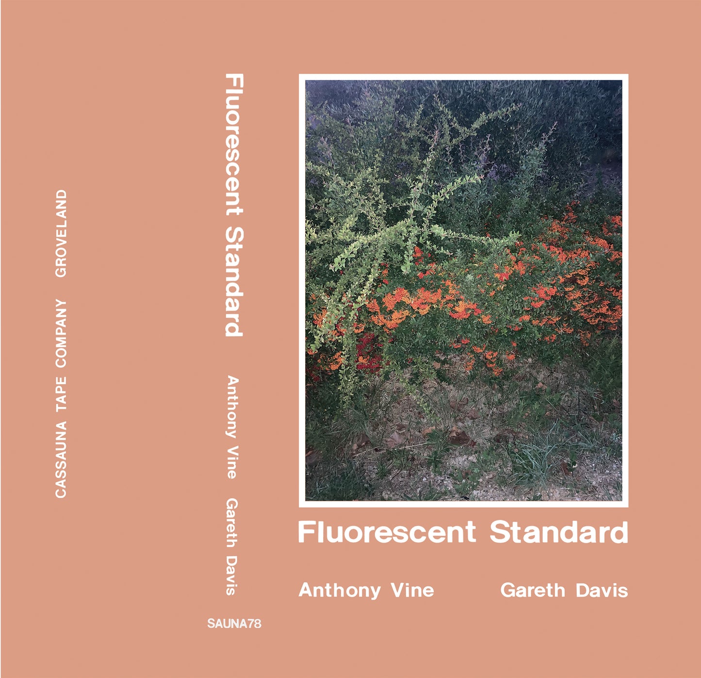 Anthony Vine & Gareth Davis - Flourescent Standard - Tape - PRE-ORDER