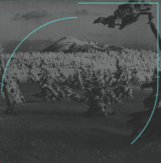 Acid Mothers Temple & The Melting Paraiso U.F.O. - In Search of the Lost Divine Arc - 2LP/CD