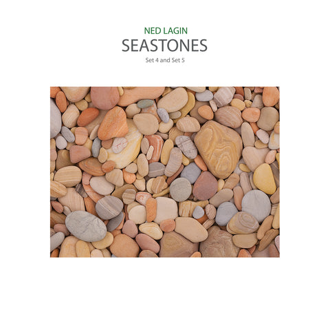 Ned Lagin - Seastones - LP