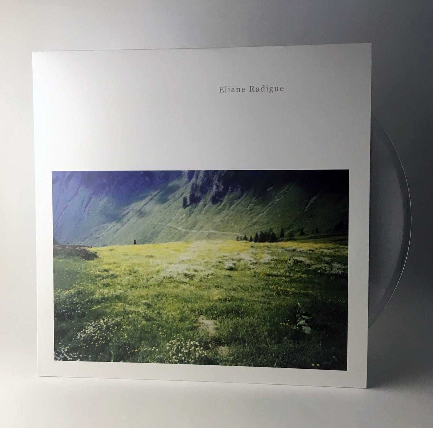 Eliane Radigue "Geelriandre-Arthesis" - LP
