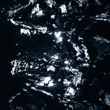 Duane Pitre - Bayou Electric