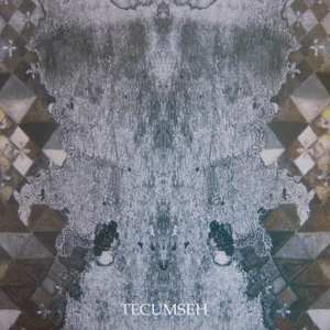 Tecumseh - Avalanche & Inundation - LP/CD