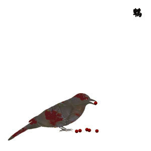 Merzbow - 13 Japanese Birds Vol 9: Hiyodori - CD