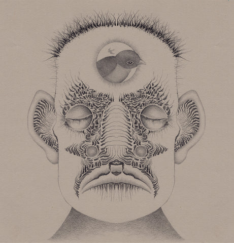 Brian Thummler - Ghost Birds - Tape